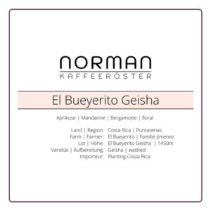 El Bueyerito Geisha – Filter