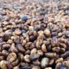 Mona Helena honey – Espresso – Bild 4