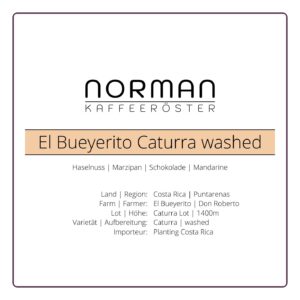El Bueyerito Caturra washed – Espresso