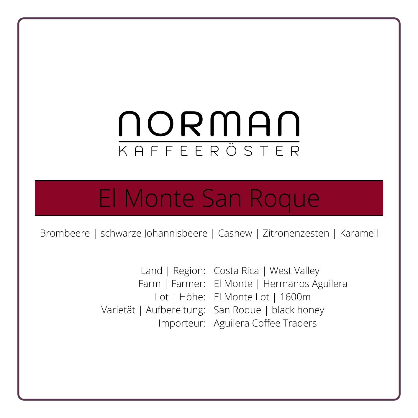 El Monte San Roque – Filter