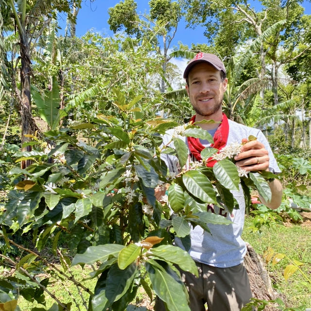 Finca Idealista Pacas – Espresso – Bild 2