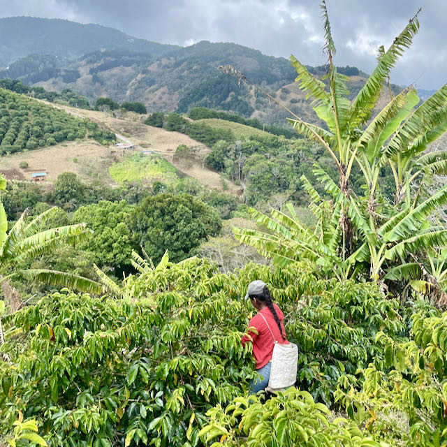 Don Ivan Copey – Filter – Bild 3